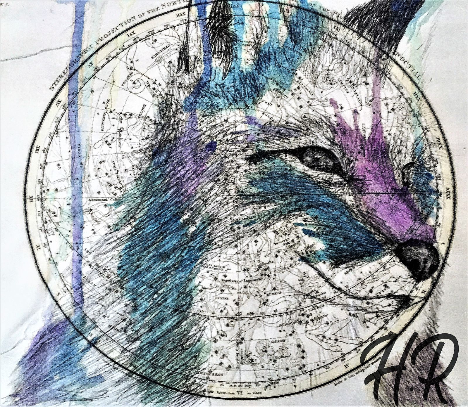 Untitled � Unknown Medium (Dimensions N/A)